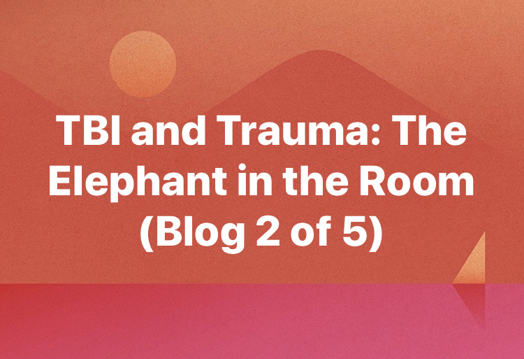 TBI and Trauma: The Elephant in the Room (Blog 2)